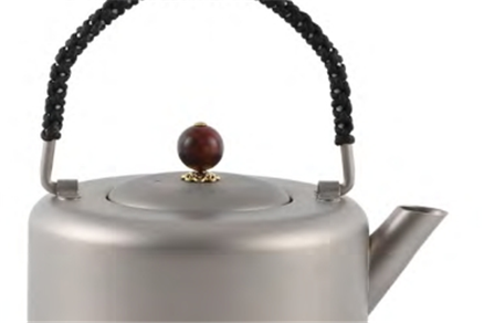 Titanium kettle